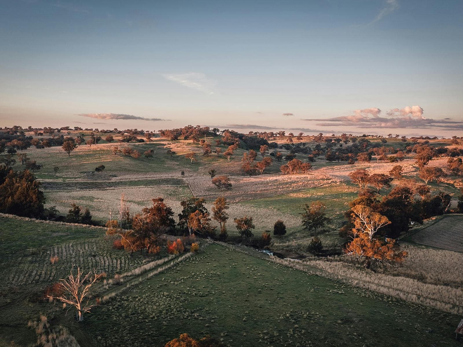 Classical guitar background